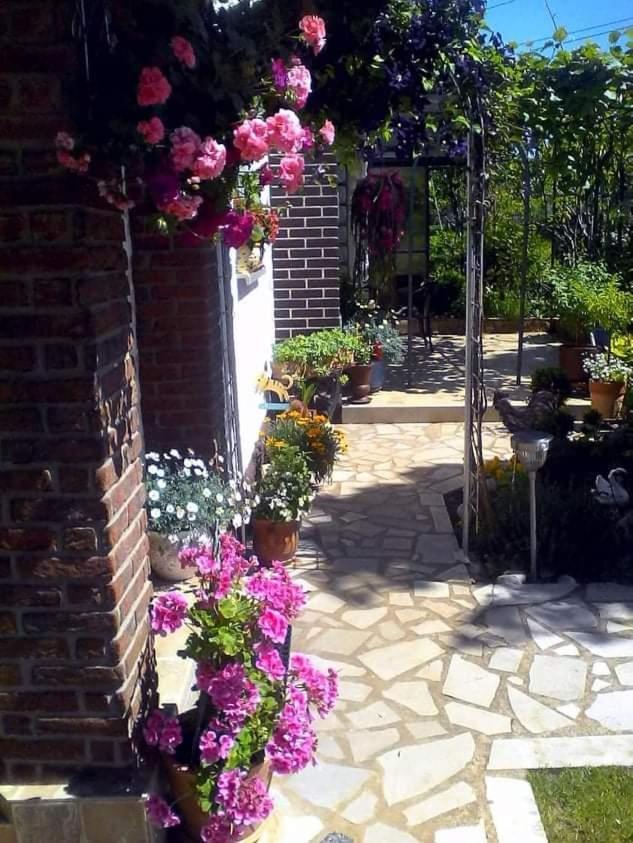 Ferienwohnung Sobe Randelj Čavle Exterior foto